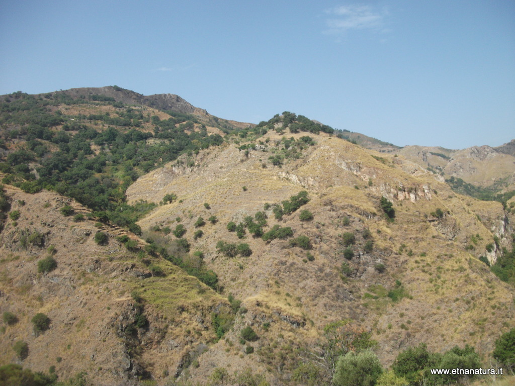 nte Naturi-21-08-2014 10-16-02